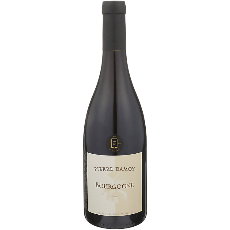 2019 Domaine Pierre Damoy Bourgogne Rouge Les Ravry 750ml